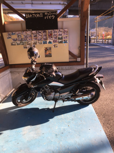 バイク suzuki gsr 250