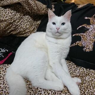 小さな命と自然、人間の共生に未来を - 津市