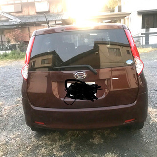 boon luminas の画像