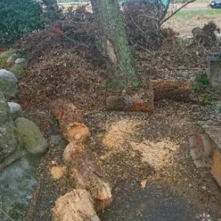 薪や焚き火にの画像