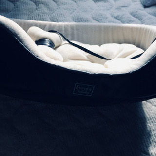 ワンチャン・ネコチャン　大きめの画像