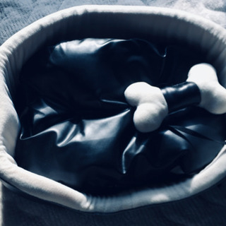 ワンチャン・ネコチャン　大きめの画像