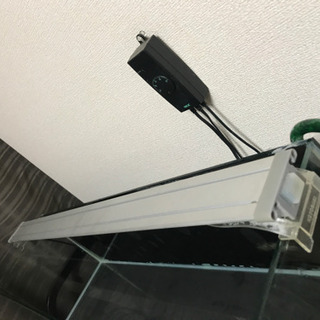 90センチ ダックス水槽の画像