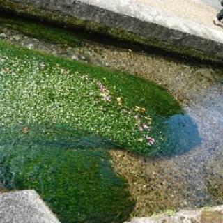 ♪雑談グルチャメンバー募集(^-^)♪             ...