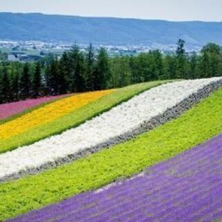 北海道、東北好きな方語りましょう