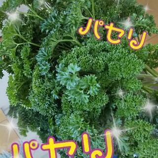 12/15南アルプス方面の方へ配達⭐️お野菜ありますか❓️の画像