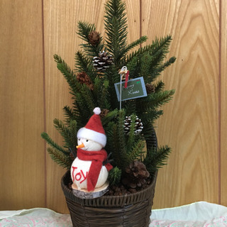 クリスマスツリー