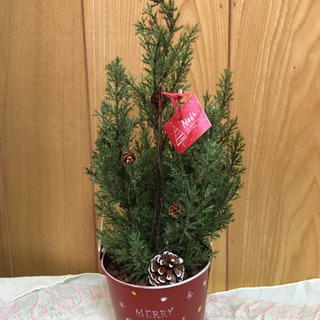 クリスマス小物