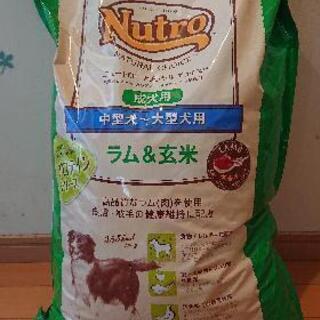 値下げ🐶大型犬用フード