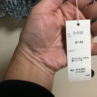 【新品】プリーツ仕様のブラウス(透け感あり)／引取限定の画像