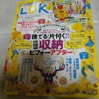 雑誌LDKあげますの画像