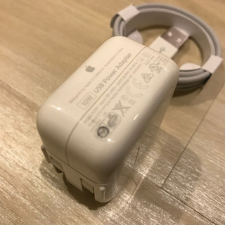 iPhone iPad 充電器 ライトニングケーブル