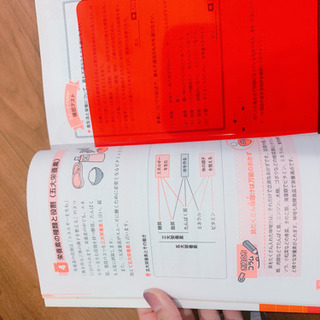 食生活アドバイザー　3級の画像