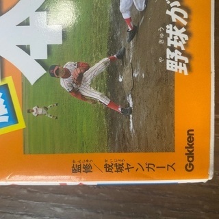 少年野球ルールの本の画像