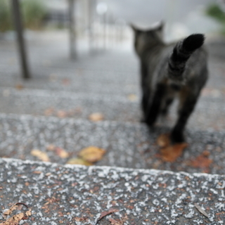 カメラ友達募集中