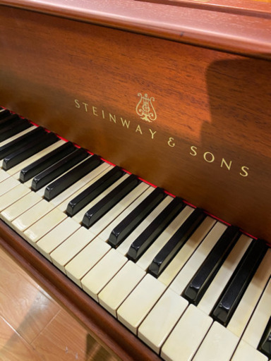 Steinway 輸入します