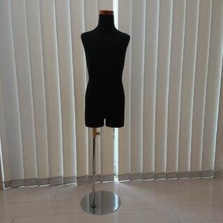 トルソー 子供用の画像