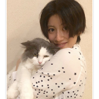 獣医師監修！猫専門！有資格の女性が行うペットシッターです