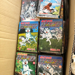 完結 銀牙伝説ノア 全17巻 銀牙THELASTWARS 全22巻 高橋よしひろ