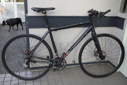 ビアンキROMA シマノTiegra マットブラック54cm 自転車本体