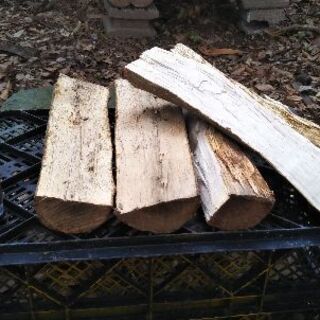 広葉樹ブナの薪！丸１年乾燥。長さ３５cm程度。含水率１８％程度。...