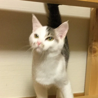 天真爛漫ないい子のみどり