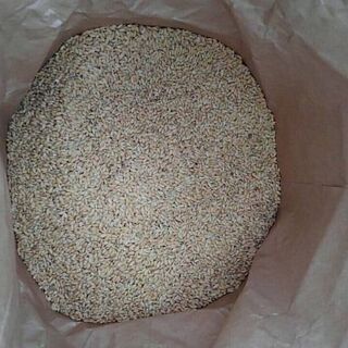 １回目のお取引無事に終えました■長野県産コシヒカリ米25kg　2018年産【もみ付米　長期保存可能】必要分だけ精米して美味しく食べましょう♪の画像