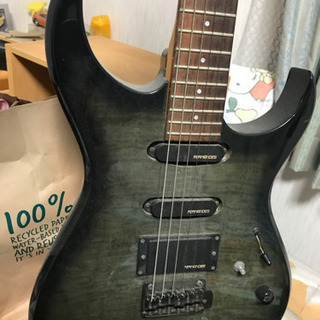 (お話し中)フェルナンデス ギター値下げしましたの画像