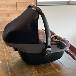 マキシコシペブル  直接引き取りに来れる方の画像