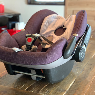 マキシコシペブル  直接引き取りに来れる方の画像