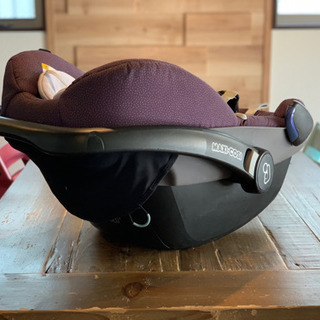 マキシコシペブル  直接引き取りに来れる方