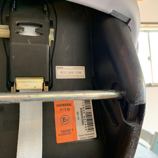 マキシコシペブル  直接引き取りに来れる方の画像