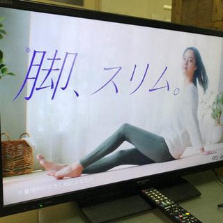 シシフドカフカ ボルゾイ 大学時代のバンド 自主制作CD