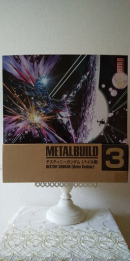 METAL BUILD デスティニーガンダム(ハイネ機) 光の翼セット