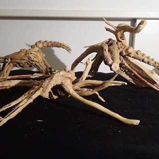流木 3個 約30cm　