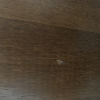 テーブル　木製　脚折り畳み式の画像