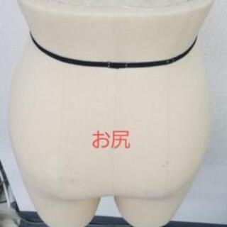 アパレル　ボトムボディーの画像