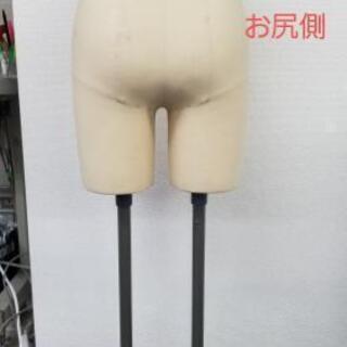 アパレル　ボトムボディーの画像