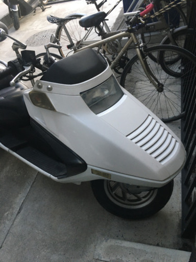 フュージョン写真は後から載せます。