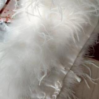 振り袖セットの画像