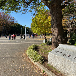 ズンバ 12/29&1/25週末朝 スペシャルアウトドア@代々木公園の画像