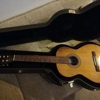 タカミネ☆ハードケース☆美中古？☆ドレッド用☆ 2025年最新】takamine ハードケースの人気アイテム - メルカリ