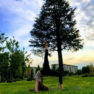 12月「身体と心メンテナンスyoga」の画像