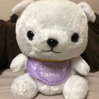 ぬいぐるみの画像