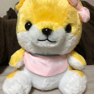 ぬいぐるみの画像