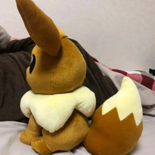 イーブイの画像