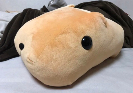 カピバラさん