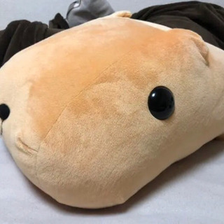 カピバラさん