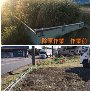 庭の手入れ　剪定伐採致します（所沢市　狭山市入間市飯能市川越市〜）