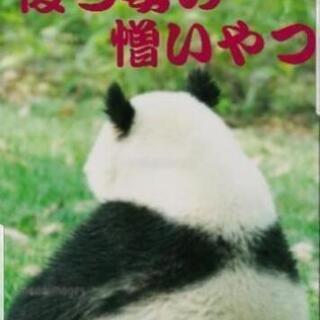 後ろ姿の憎いやつ